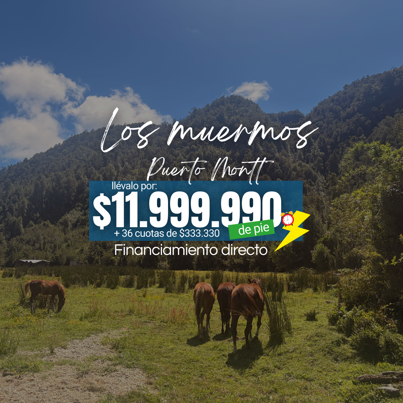 Los muermos - Puerto Montt